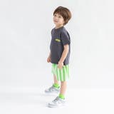 【WEB限定/DRC】アソートグラフィック半袖Tシャツ | ブランシェス | 詳細画像60 