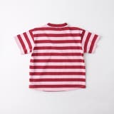 【WEB限定/DRC】ボーダー半袖Tシャツ | ブランシェス | 詳細画像15 