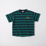【WEB限定/DRC】ボーダー半袖Tシャツ | ブランシェス | 詳細画像16 