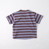 【WEB限定/DRC】ボーダー半袖Tシャツ | ブランシェス | 詳細画像8 