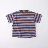 ブルー | 【WEB限定/DRC】ボーダー半袖Tシャツ | ブランシェス