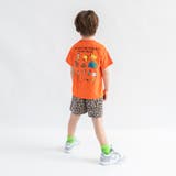 【WEB限定 DRC】カラバリカット ハーフパンツ | ブランシェス | 詳細画像51