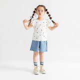 【WEB限定 DRC】カラバリカット ハーフパンツ | ブランシェス | 詳細画像9