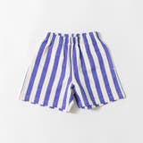 45:パープル_ストライプ | 【WEB限定 DRC】カラバリカット ハーフパンツ | ブランシェス