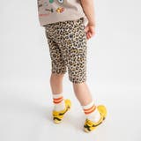 3 | 【WEB限定/DRC】カットソーハーフパンツ | ブランシェス