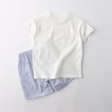 【WEB限定/DRC】ガールズアソート半袖パジャマ | ブランシェス | 詳細画像12 