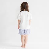 【WEB限定/DRC】ガールズアソート半袖パジャマ | ブランシェス | 詳細画像5 