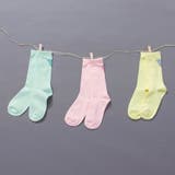 5 | 【WEB限定 DRC】カラフル3Pソックス 通園 | ブランシェス