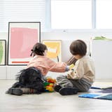 バイカラーバックネームつき 薄手モックネックトレーナー | ブランシェス | 詳細画像10 