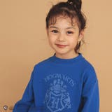 ブルー | 【ハリー・ポッター】branshes オリジナル／ホグワーツハウストレーナー | ブランシェス