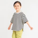 ボーダー | 【男女兼用】BIGシルエットTシャツ  | ブランシェス
