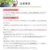 45cm10本分 人毛シールエクステ 全18色 | Brightlele | 詳細画像19 