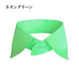 ネオングリーン | 付け襟 レディース つけ襟 | candy-house 