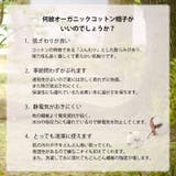 CHARM HARAPAカラー オーガニックコットン | ゆるい帽子CasualBoxレディース | 詳細画像10 