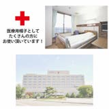 CHARM ALTAMOカラー オーガニックコットン | ゆるい帽子CasualBoxレディース | 詳細画像8 