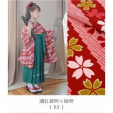 着付け簡単袴セット 卒業式 卒園式 | Catherine Cottage | 詳細画像18