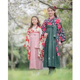 着付け簡単袴セット 卒業式 卒園式 | Catherine Cottage | 詳細画像9 