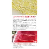 子供ドレス コスパ重視派のスパンコールレースチュールドレス キッズドレス | Catherine Cottage | 詳細画像27