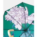 【カヤ】和の赴き傘 天井画日傘 晴雨兼用 | チャイハネ | 詳細画像8