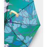 【カヤ】和の赴き傘 天井画日傘 晴雨兼用 | チャイハネ | 詳細画像9