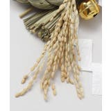 【岩座】【正月飾り】逆さ注連縄飾 | アミナコレクション  | 詳細画像6 