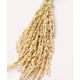 【岩座】水晶 注連飾 | アミナコレクション | 詳細画像5