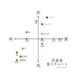 【岩座】百楽香 | アミナコレクション  | 詳細画像41 