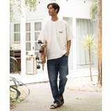 【カヒコ】レイキーメンズTシャツ【SURF&Palms】 | アミナコレクション  | 詳細画像1 