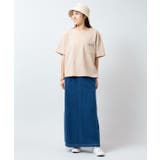 【カヒコ】レイキーTシャツ【SURF&Palms】 | アミナコレクション  | 詳細画像2 