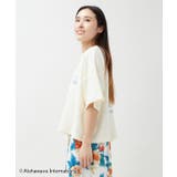 【カヒコ】クーオコアTシャツ【ALOHA MAPUA】 | アミナコレクション | 詳細画像6