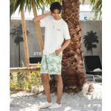 【カヒコ】ビーチリーメンズＴシャツ【SURF&Palms】 | アミナコレクション  | 詳細画像1 