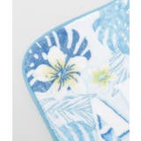 【カヒコ】レアメレＭＡＴ（65cm） | アミナコレクション  | 詳細画像5 