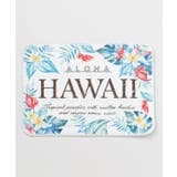 その他2 | 【カヒコ】レアメレＭＡＴ（65cm） | アミナコレクション 