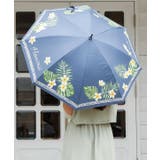 ネイビー | 【カヒコ】【遮光率99.99%以上】ケハウラニ傘（晴雨兼用） | アミナコレクション 