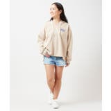 【カヒコ】【SURF&Palms】ソーヤーフーディー | アミナコレクション  | 詳細画像1 