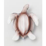 【カヒコ】カラーホヌフィギュアM | アミナコレクション | 詳細画像7