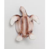 【カヒコ】カラーホヌフィギュアＳ | アミナコレクション  | 詳細画像7 