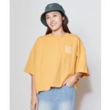 【カヒコ】【SURF&Palms】フェレTシャツ | チャイハネ | 詳細画像11