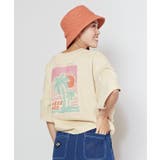 【カヒコ】【SURF&Palms】フェレTシャツ | チャイハネ | 詳細画像14