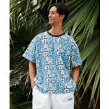 ブルー系その他 | 【カヒコ】ロアアメンズＴシャツ | アミナコレクション 
