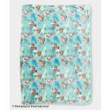 ミント | 【カヒコ】ハワイブランケットM【ALOHA MAPUA】 | アミナコレクション 