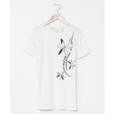 ホワイト | 【カヒコ】エコルティアレフラTシャツ | チャイハネ