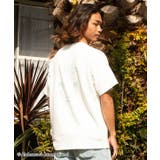 【カヒコ】ナヘナヘメンズTシャツ【ALOHA MAPUA】 | チャイハネ | 詳細画像1