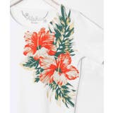 【カヒコ】ワイルアフラTシャツ | アミナコレクション  | 詳細画像12 