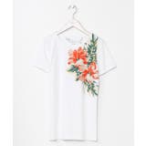 ホワイト | 【カヒコ】ワイルアフラTシャツ | アミナコレクション 