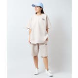 【カヒコ】ジェイメンズハーフパンツ【SURF&Palms】 | アミナコレクション  | 詳細画像6 