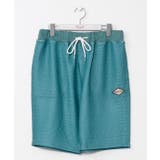 グリーン | 【カヒコ】ジェイメンズハーフパンツ【SURF&Palms】 | アミナコレクション 