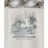 【カヒコ】【SURF&Palms】コールメンズシャツ | アミナコレクション  | 詳細画像3 