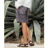 チャコール | 【カヒコ】アンダーセンメンズハーフパンツ【SURF&Palms】 | アミナコレクション