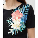 【カヒコ】アラナフラTシャツ | アミナコレクション | 詳細画像10